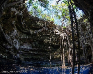 7 cenotes